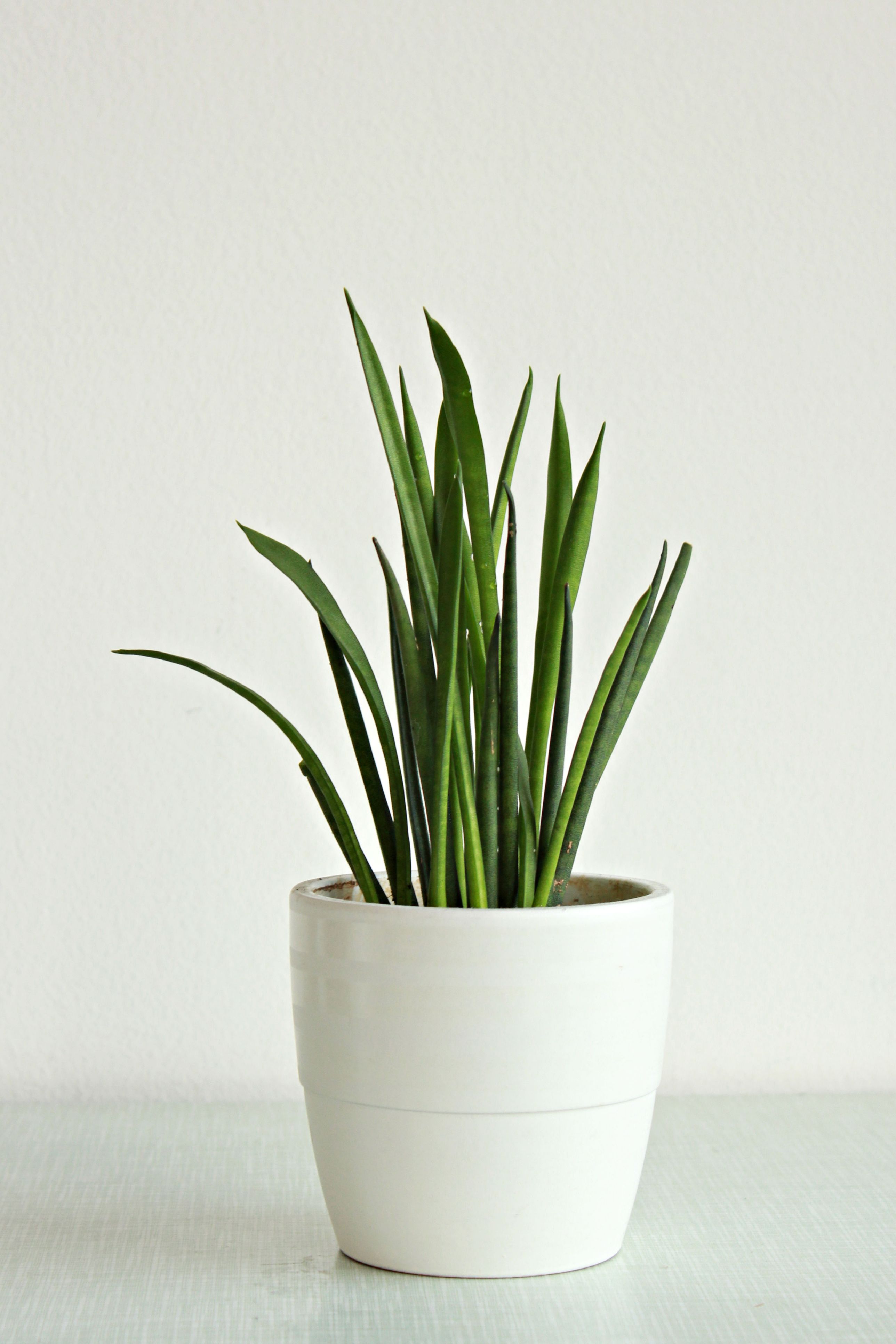 Product 3