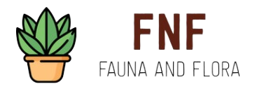 FNF Logo