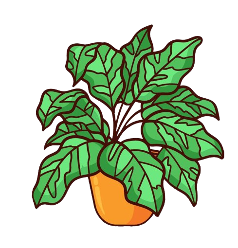 Top Plant Image